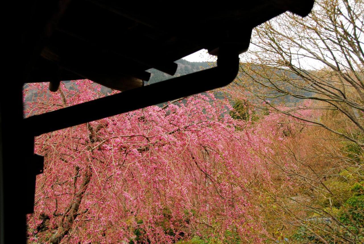 Hakone Kowakien Mikawaya Ryokan Luaran gambar